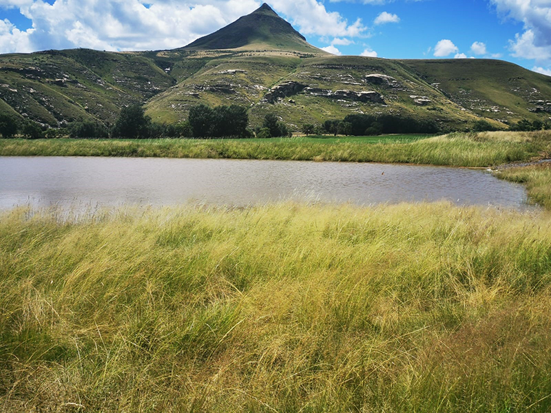 drakensberg