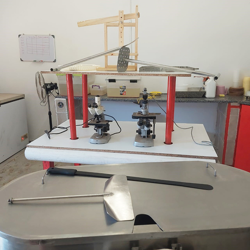 kaasmaker
