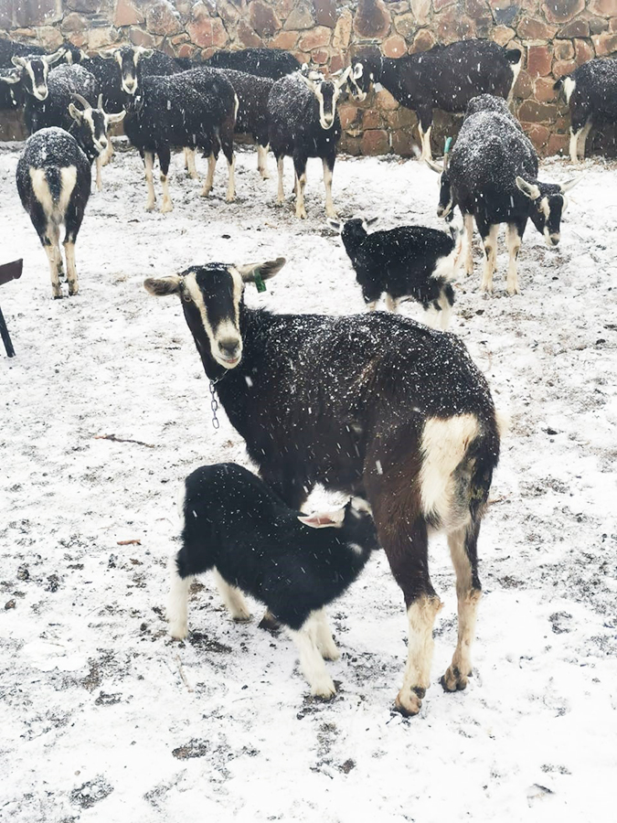 snow