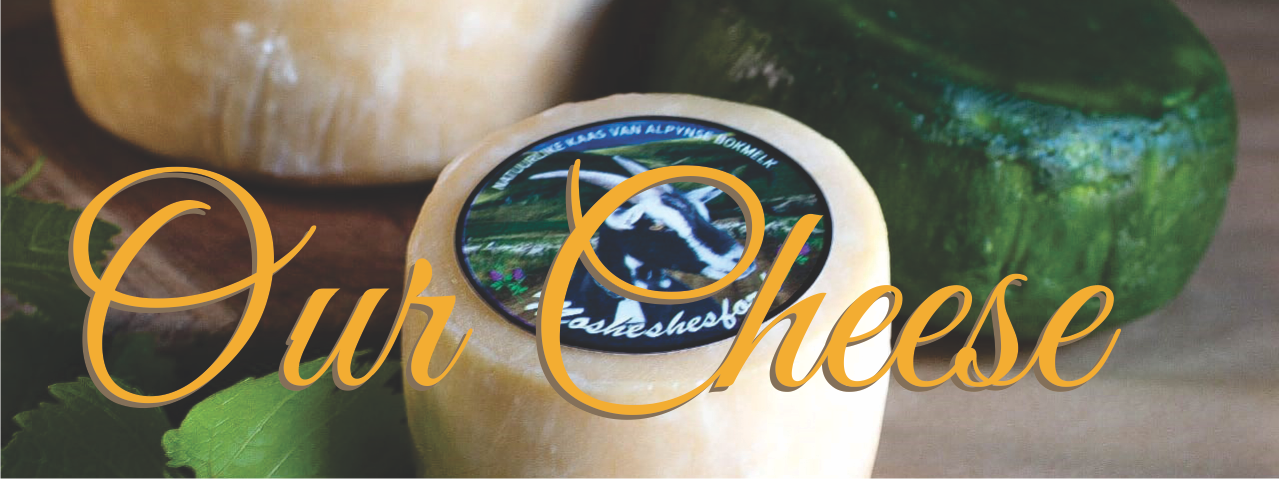 Our Cheese